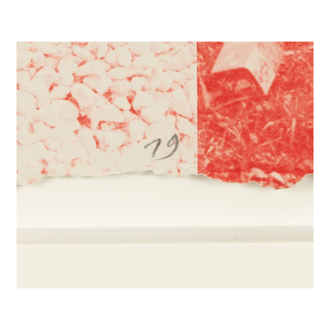 1979 Robert Rauschenberg : "Rose Bay" from Rockery Mounds lithograph