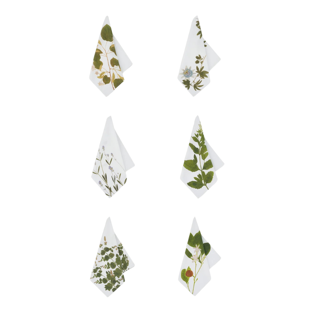 Summerill & Bishop : 'Tisane' Herb Linen Napkins, Set of 6
