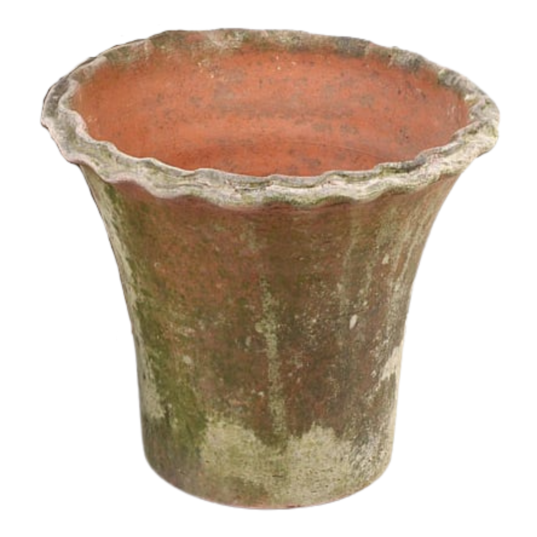 Campo de Fiori : Aged Pie Crust Planter