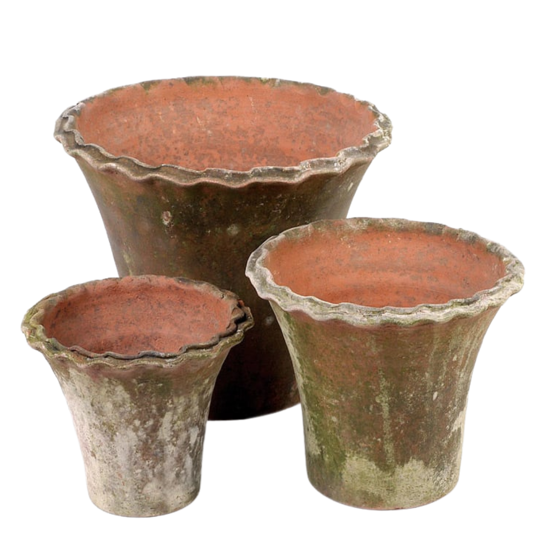Campo de Fiori : Aged Pie Crust Planter