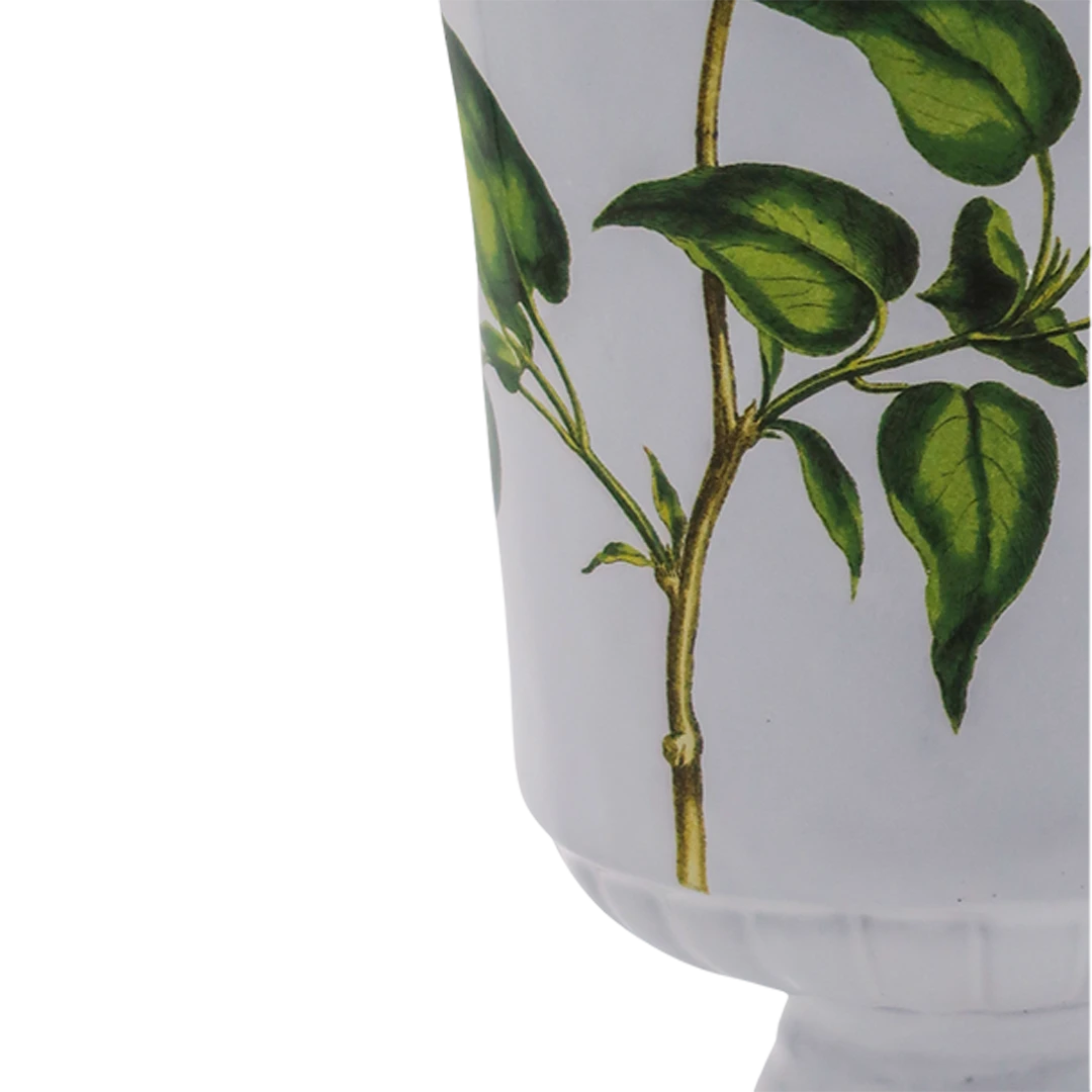 John Derian : Lilac Vase for Astier de Villatte