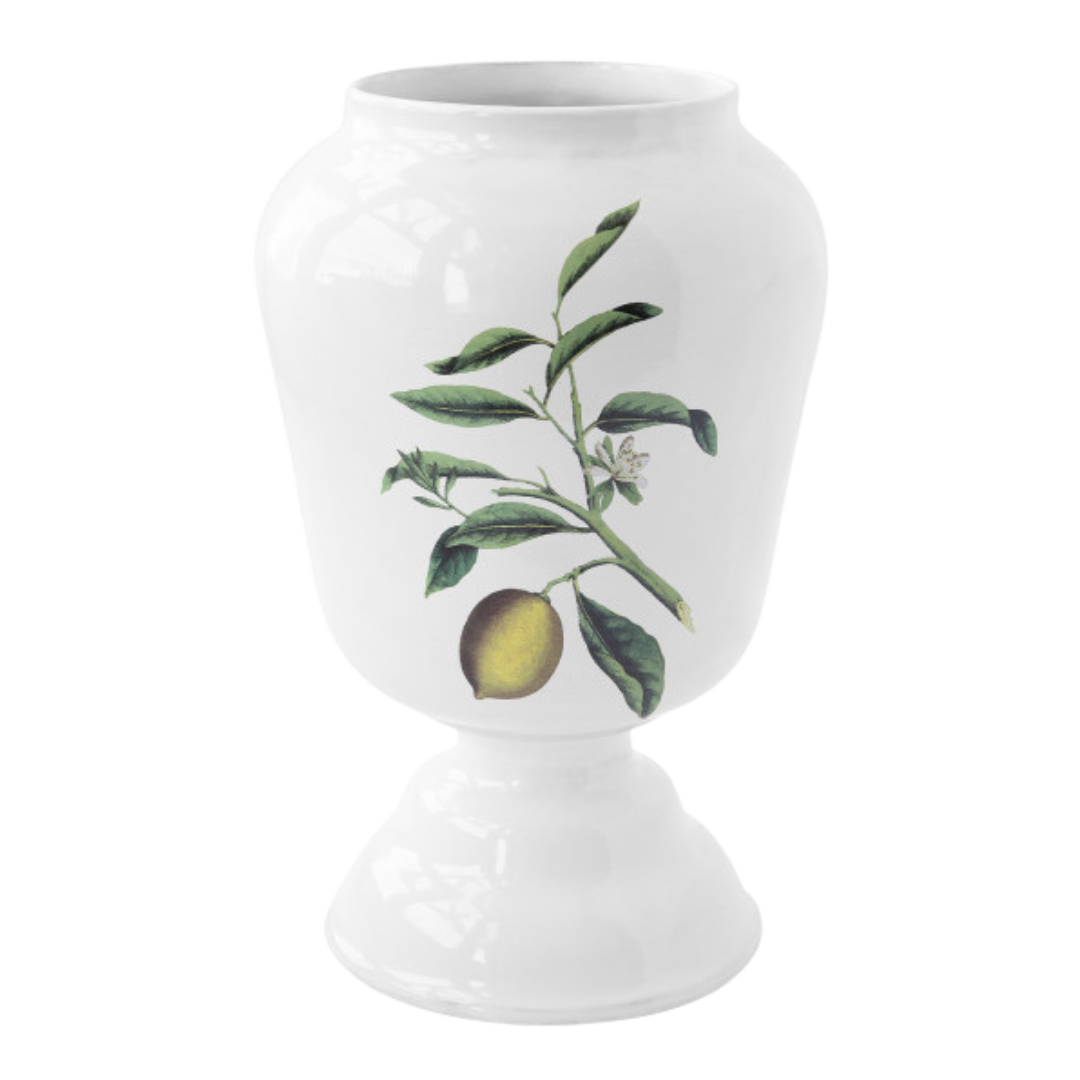 John Derian : Large Citron Vase for Astier de Villatte