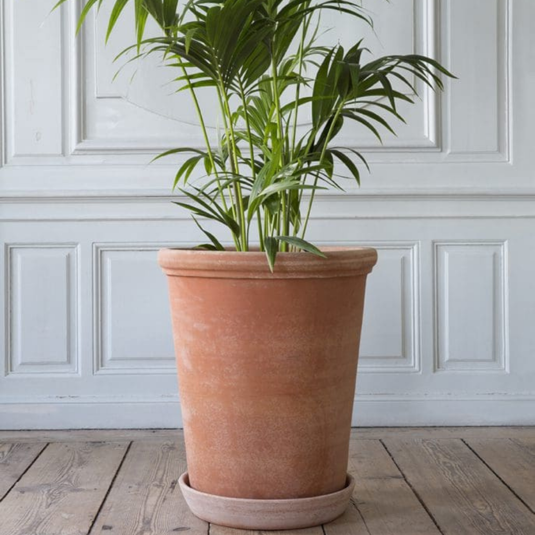 Bergs Potter : 16"x20" Flora RAW Pot in Rosa