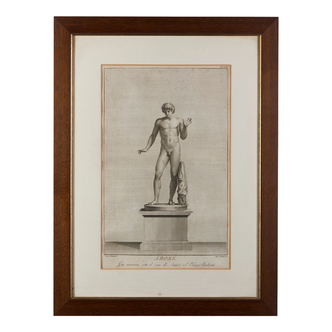 Teodoro Matteini, Italy : c1800 framed engraving of Adonis