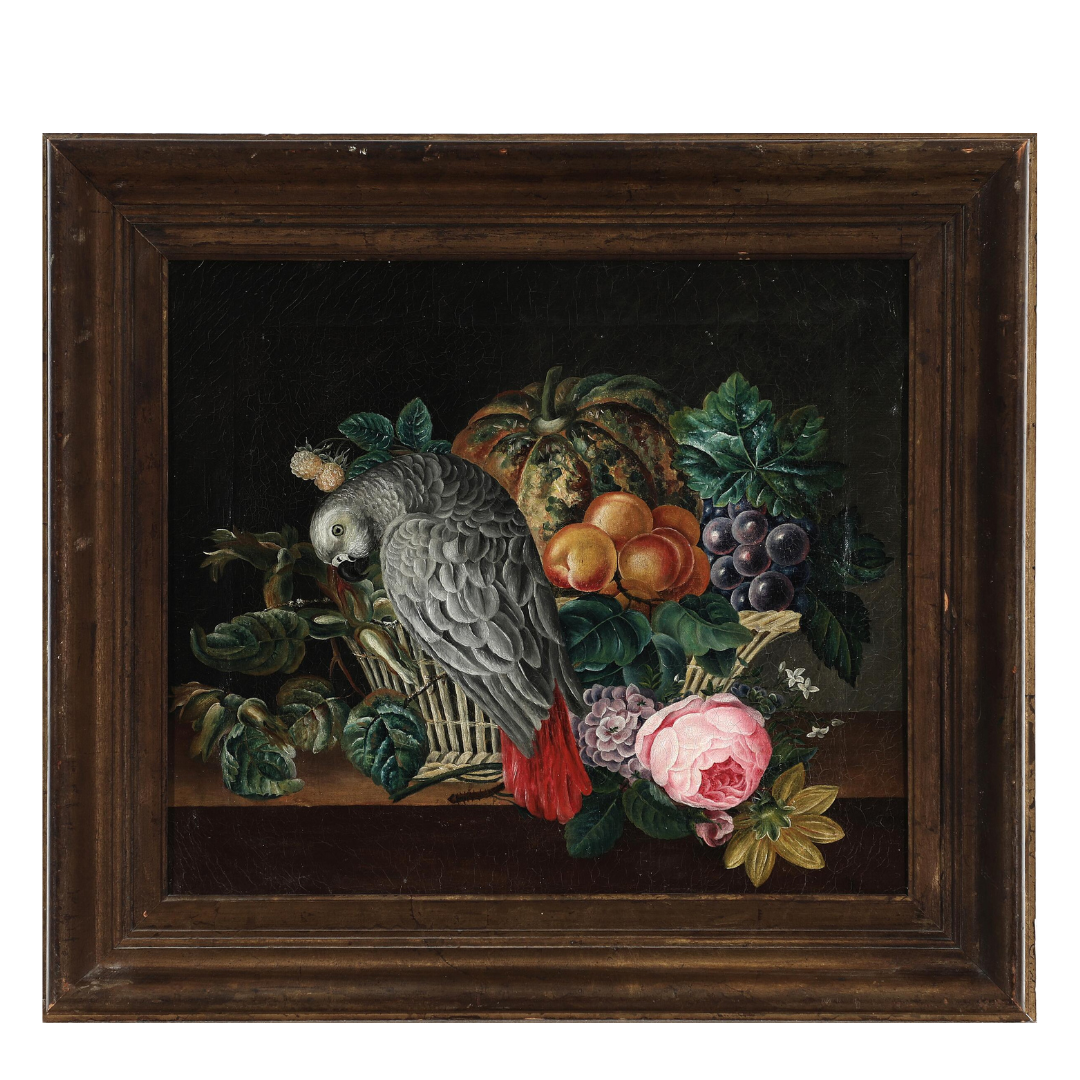 c1850s unsigned : still life with parrot and fruit, o/c