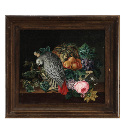c1850s unsigned : still life with parrot and fruit, o/c