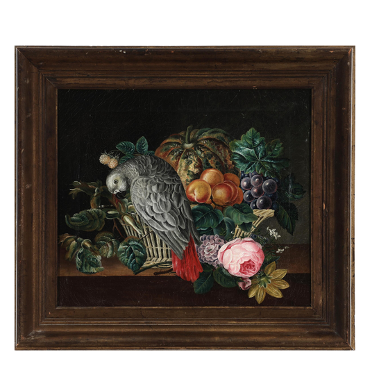 c1850s unsigned : still life with parrot and fruit, o/c
