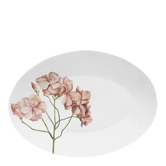 Astier de Villatte : Nerium Oleander Oval Platter