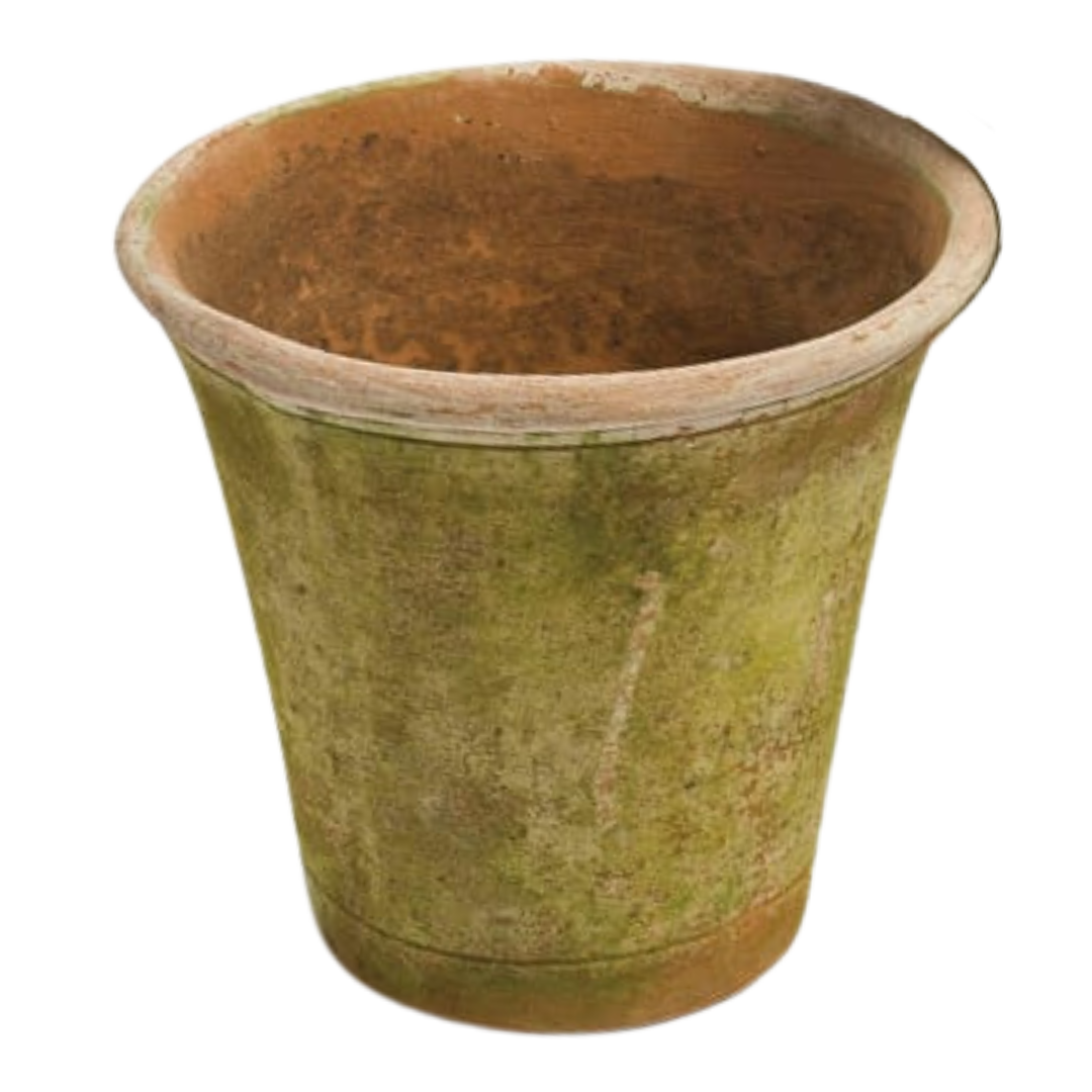 Campo de Fiori : 8" Nursery Planter Short
