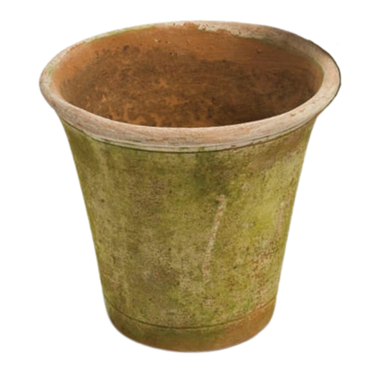 Campo de Fiori : 8" Nursery Planter Short