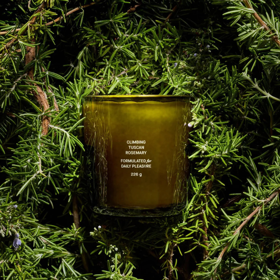 Flamingo Estate : Climbing Tuscan Rosemary Candle, 8oz