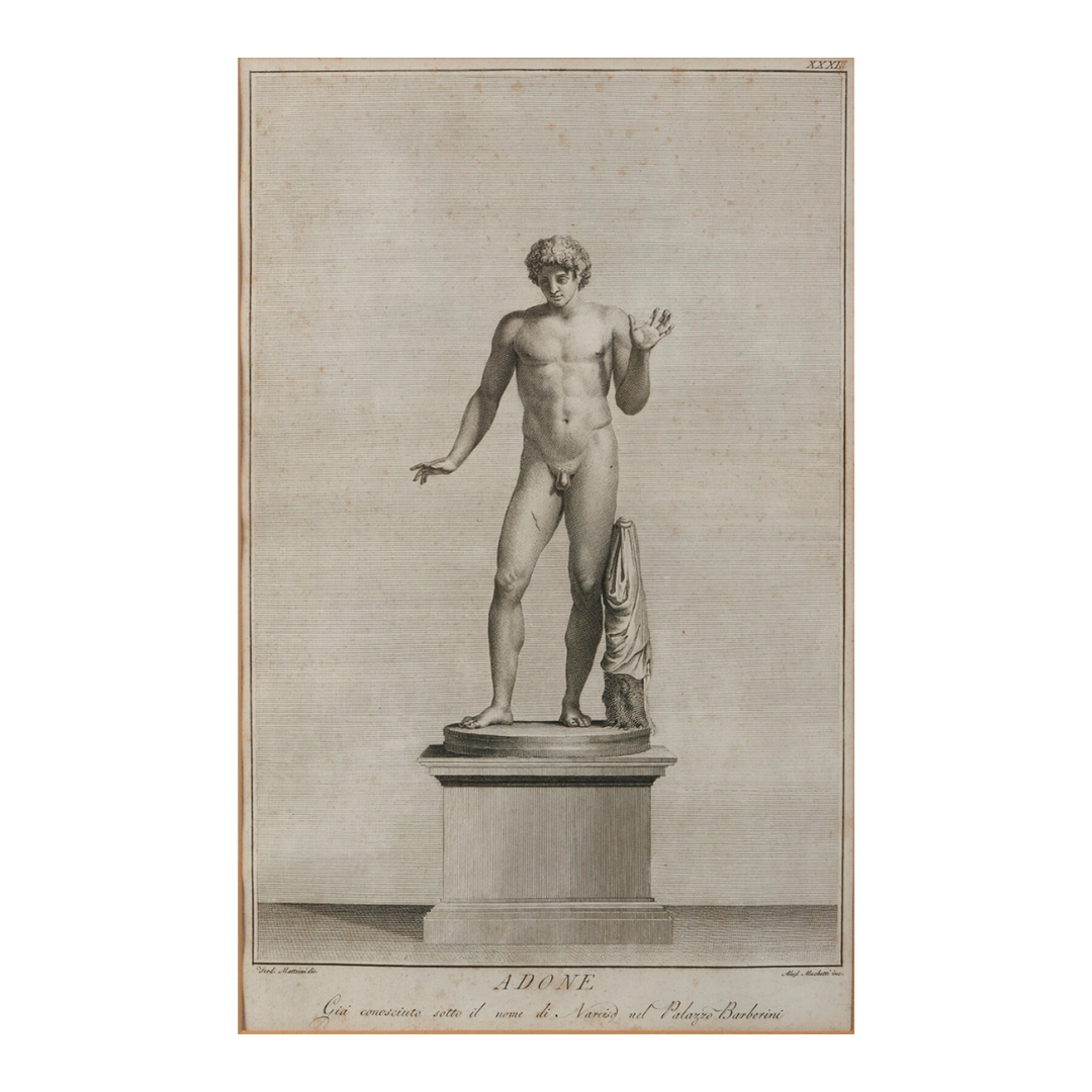 Teodoro Matteini, Italy : c1800 framed engraving of Adonis