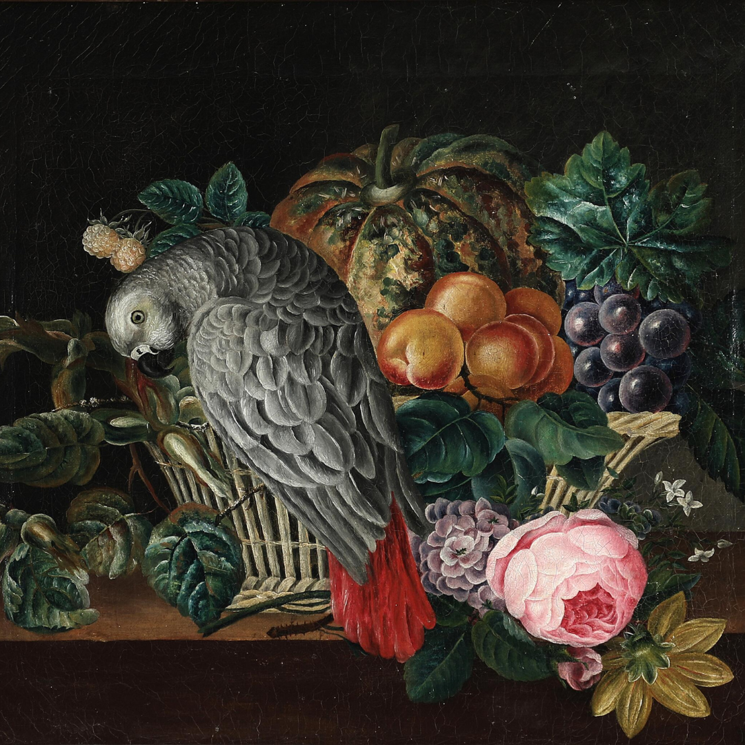 c1850s unsigned : still life with parrot and fruit, o/c