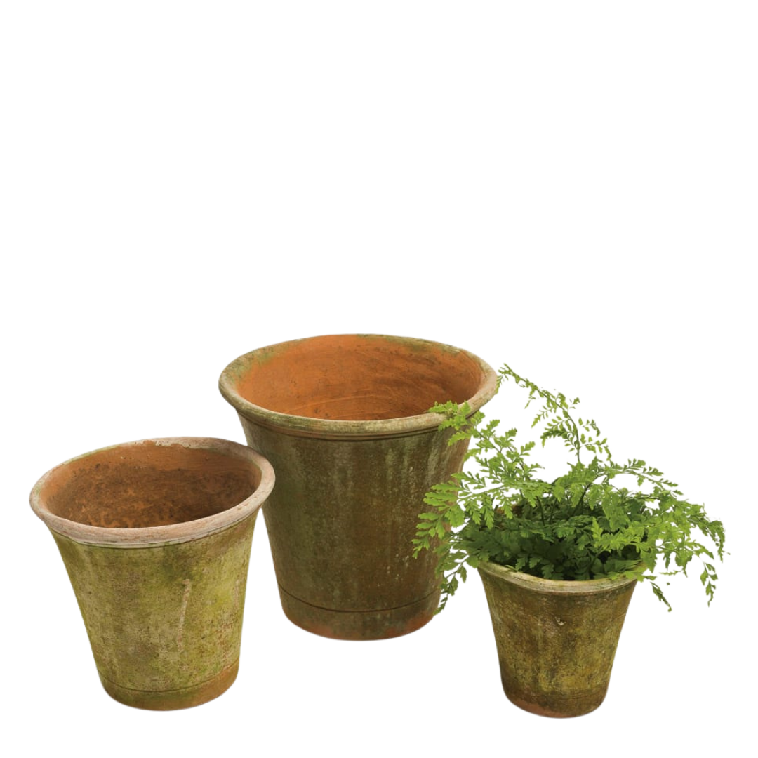 Campo de Fiori : 8" Nursery Planter Short