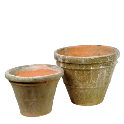 Campo de Fiori : Aged Belgian Planter