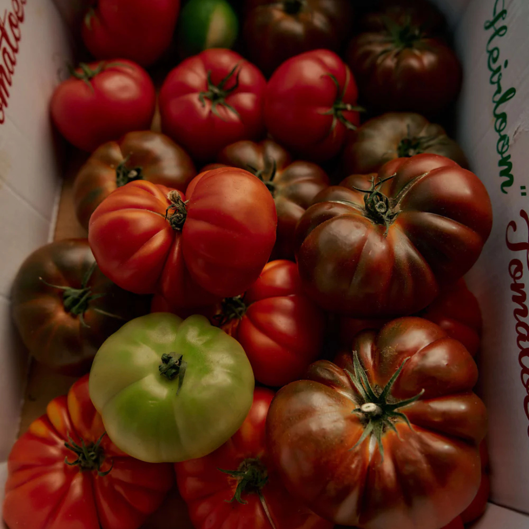 Flamingo Estate : Roma Heirloom Tomato Candle, 8oz