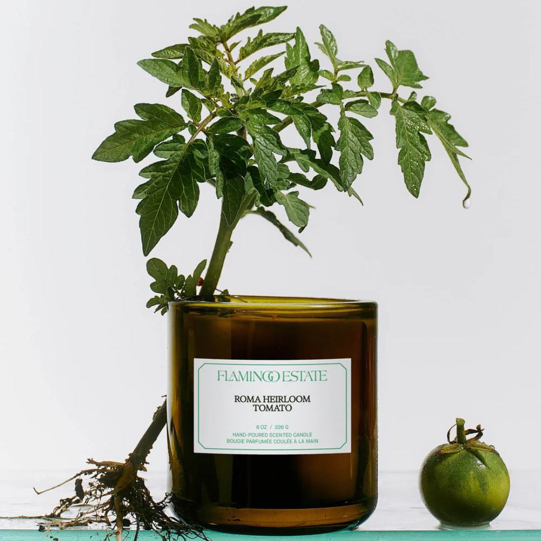 Flamingo Estate : Roma Heirloom Tomato Candle, 8oz