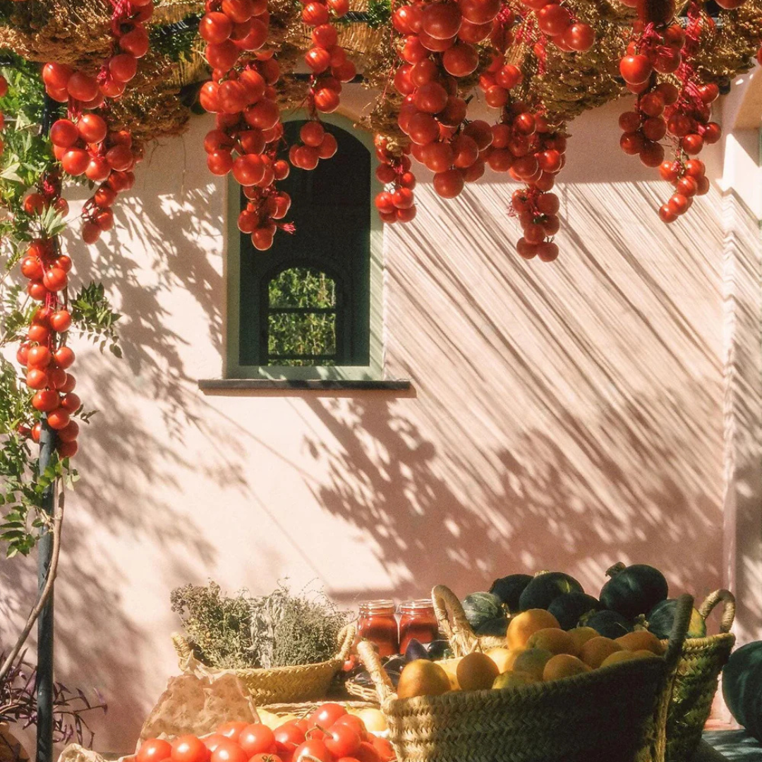 Flamingo Estate : Roma Heirloom Tomato XL Candle, 26oz