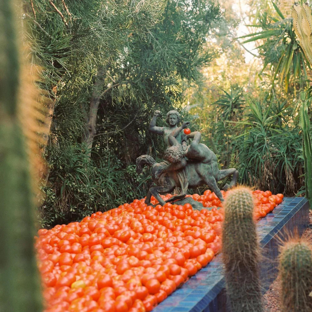 Flamingo Estate : Roma Heirloom Tomato XL Candle, 26oz