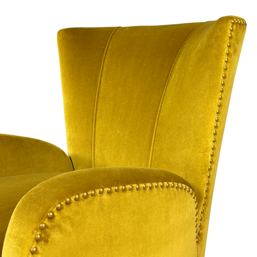 1950s Italian : pair of classic modernist armchairs in gold velvet