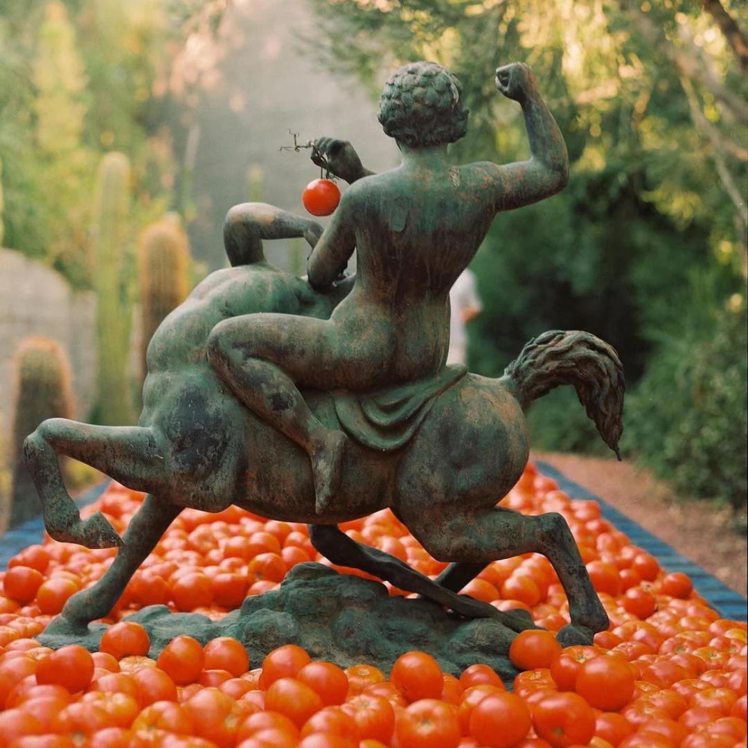 Flamingo Estate : Roma Heirloom Tomato XL Candle, 26oz