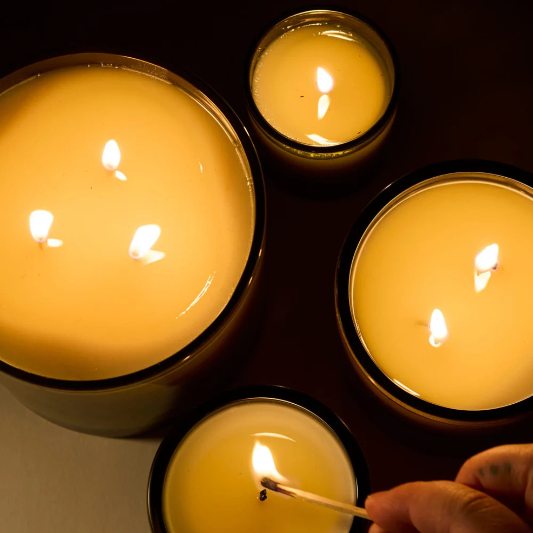 Flamingo Estate : Roma Heirloom Tomato XL Candle, 26oz