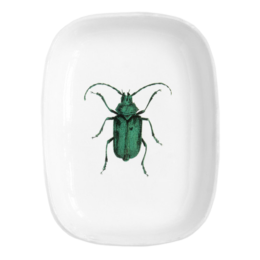 John Derian : Green Insect Platter for Astier de Villatte