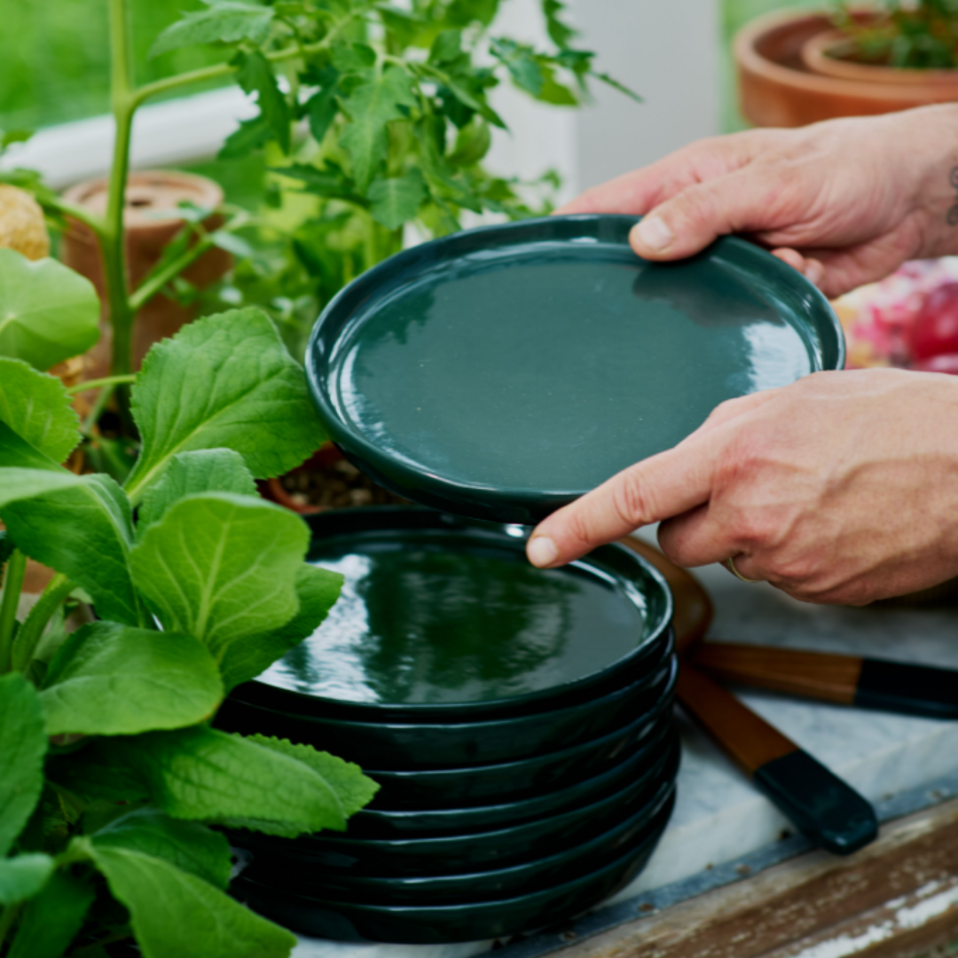 FINCH Tabletop : Moss green stoneware 10" dinner plate