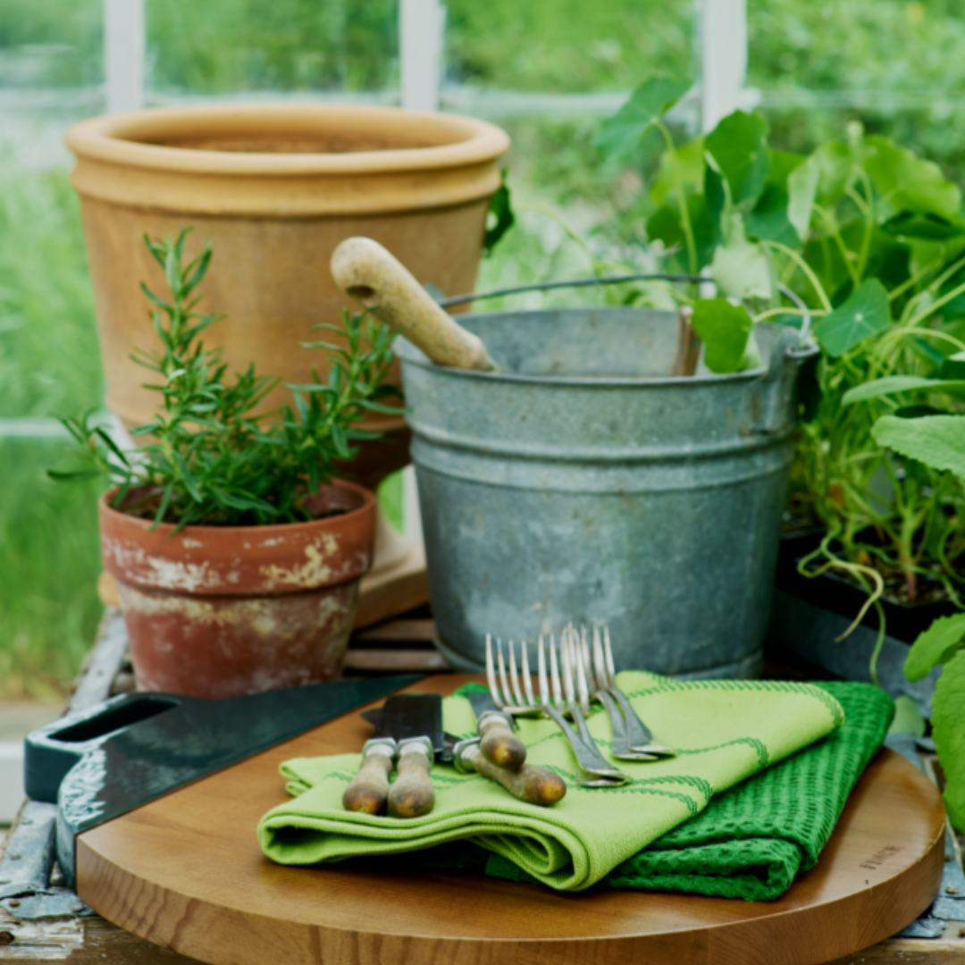 FINCH Tabletop : 100% cotton Garden Green Kitchen Towels (Set of 4)