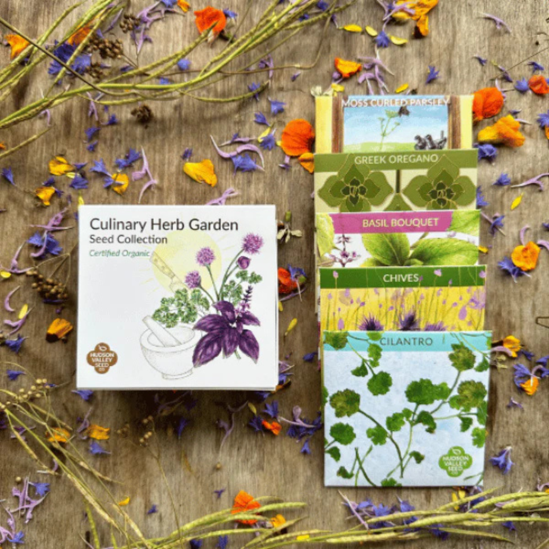 Hudson Valley Seed Co : Culinary Herb Garden Seed Collection