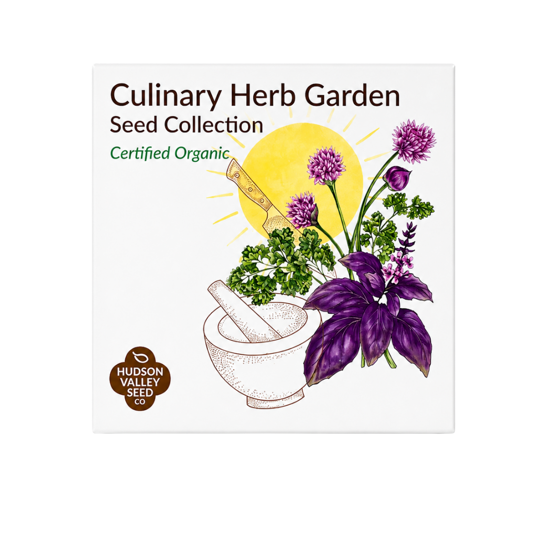 Hudson Valley Seed Co : Culinary Herb Garden Seed Collection