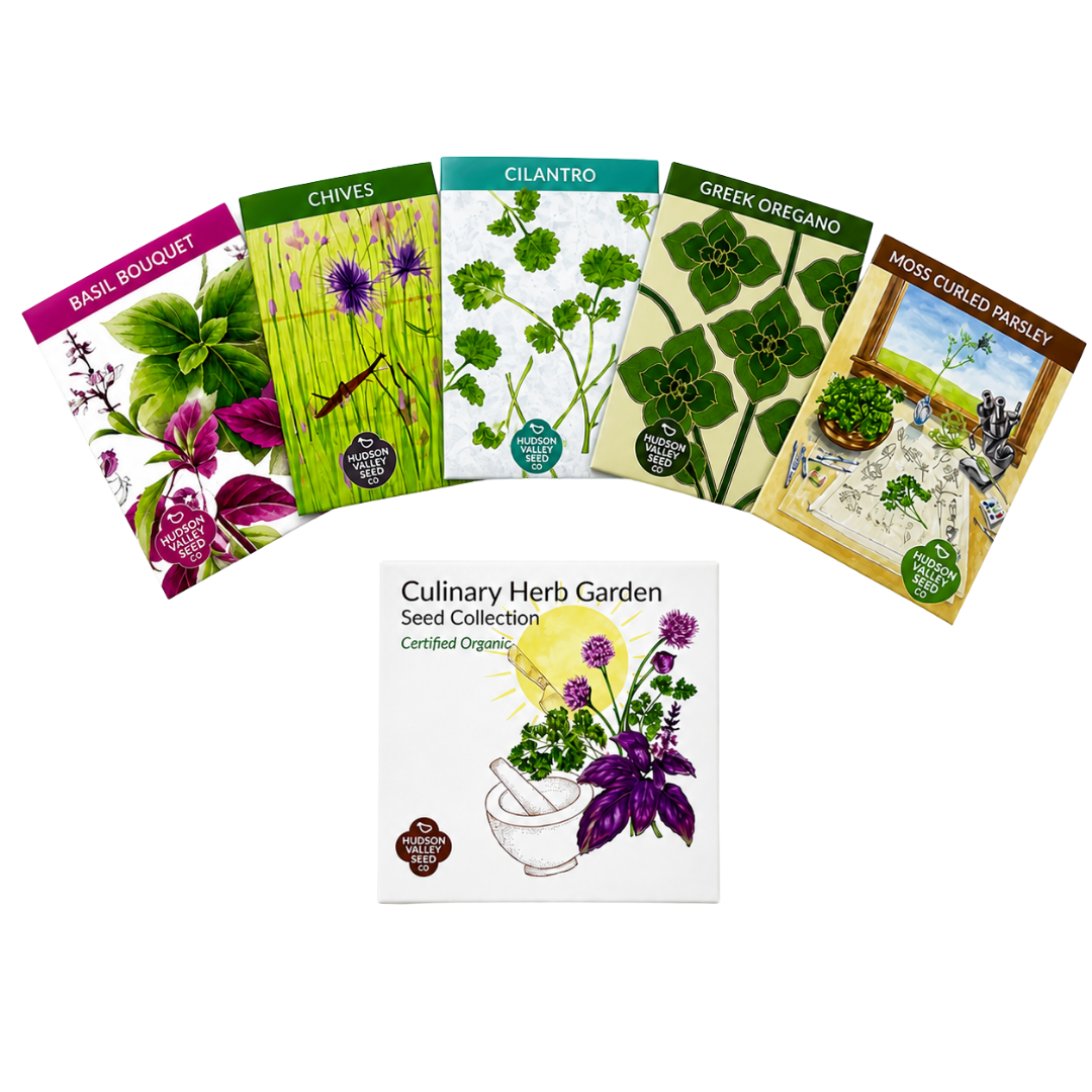 Hudson Valley Seed Co : Culinary Herb Garden Seed Collection