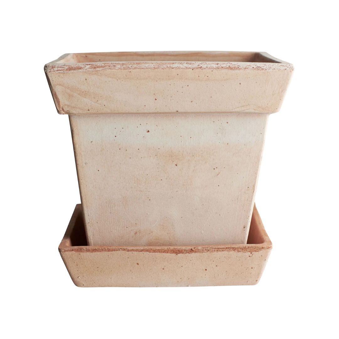 Bergs Potter : 12