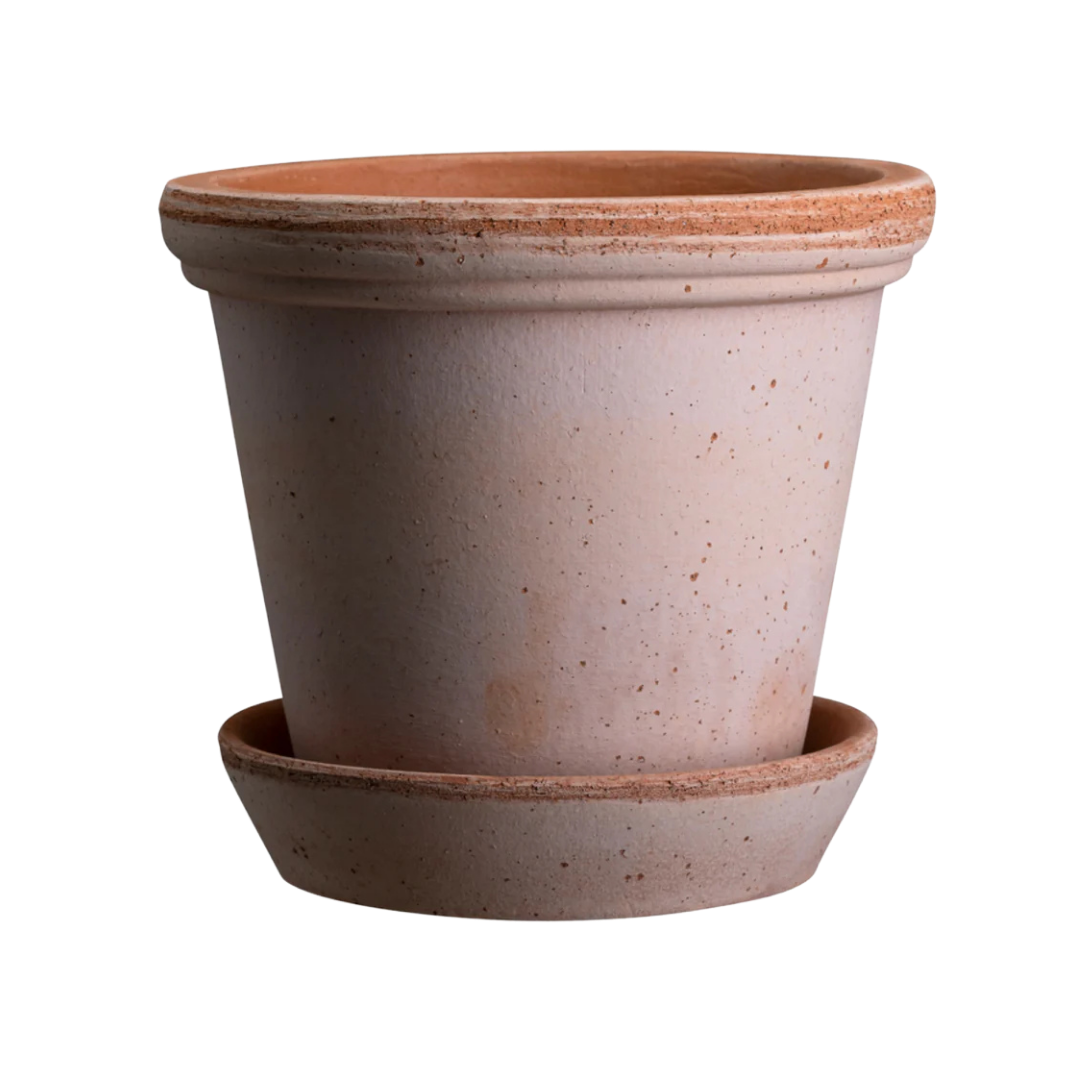 Bergs Potter : 16