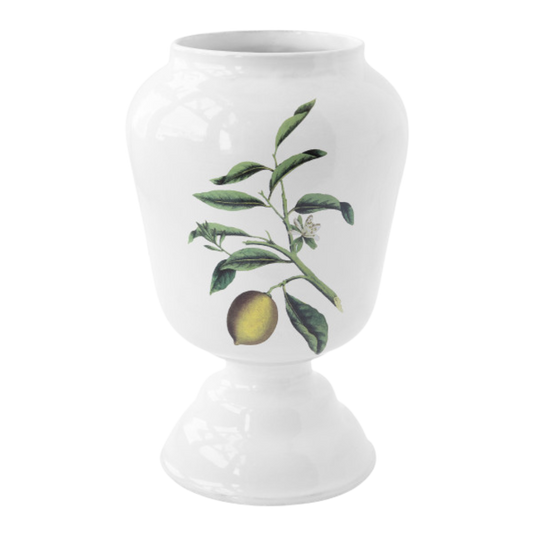 John Derian : Large Citron Vase for Astier de Villatte