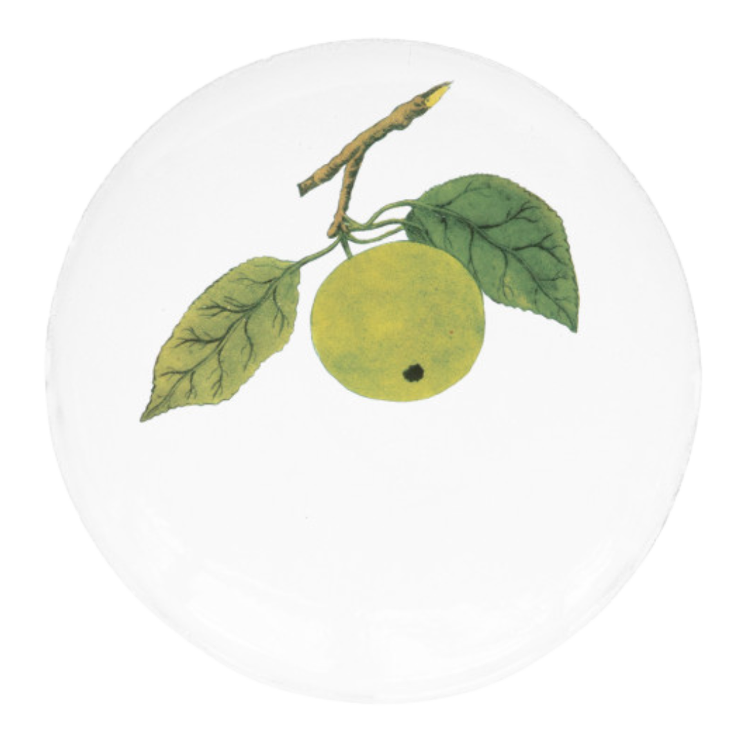 John Derian : Medium Apple Plate for Astier de Villatte