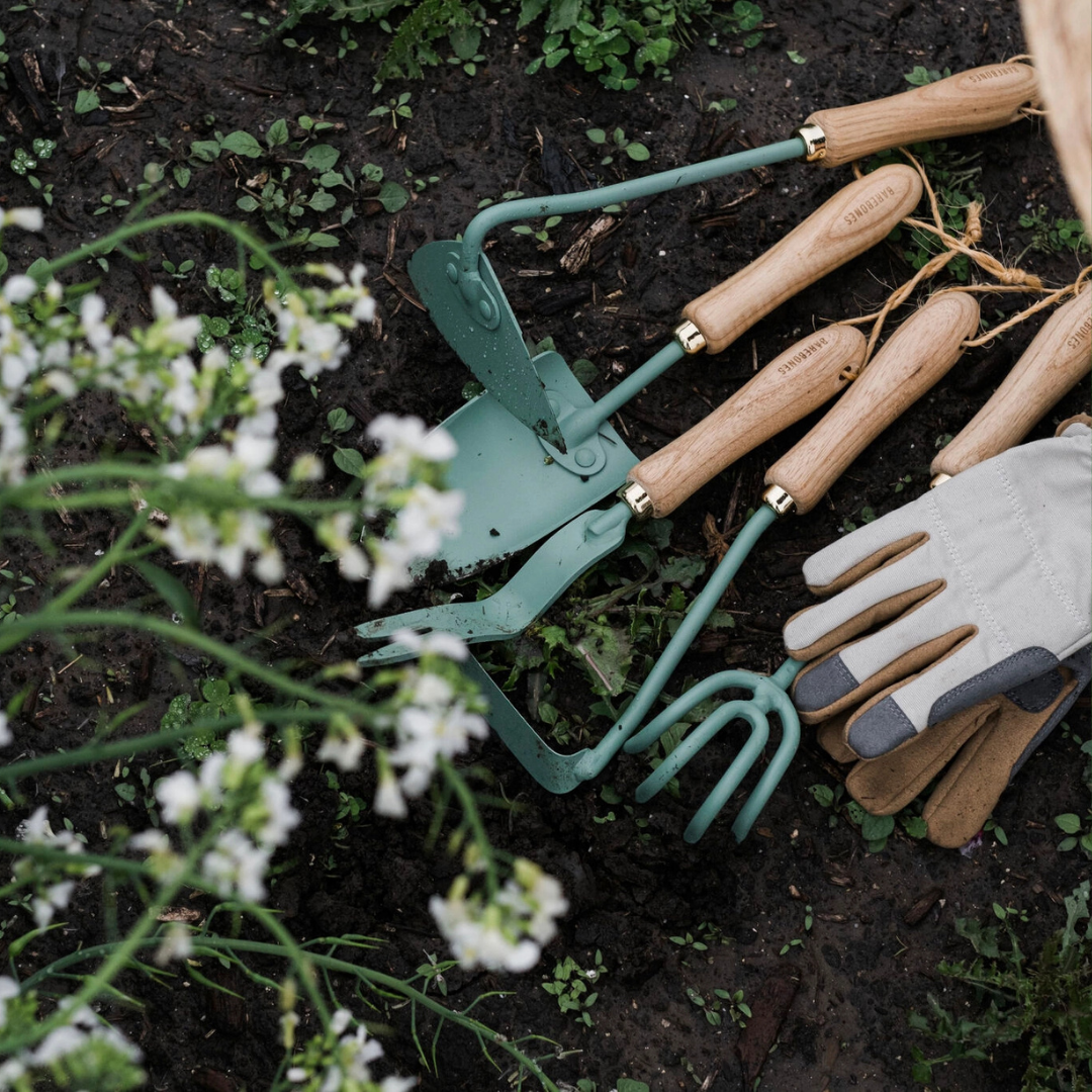 Barebones : Dandelion Weeding Fork, steel & walnut