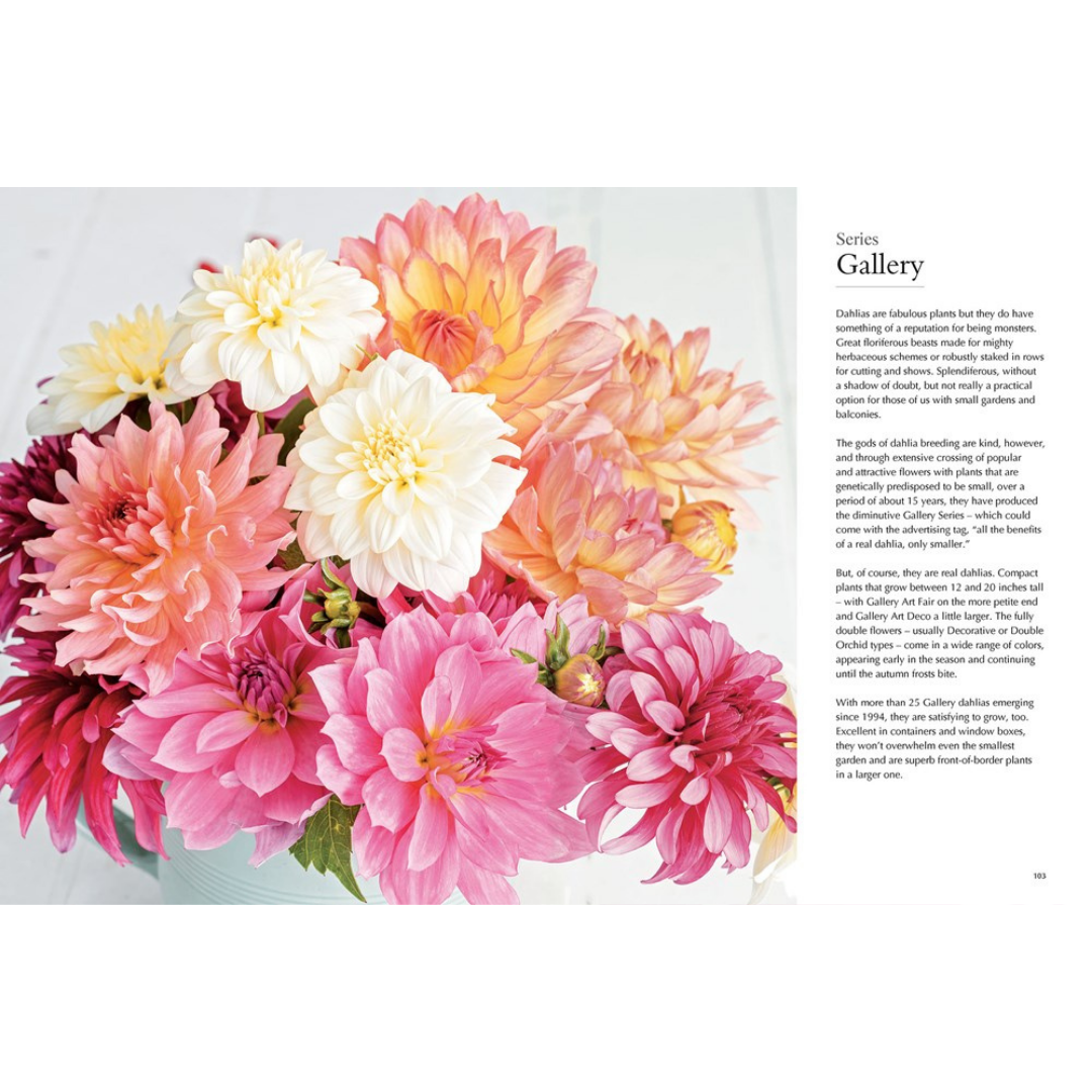 Naomi Slade book : "Dahlias, beautiful varieties for home and garden"