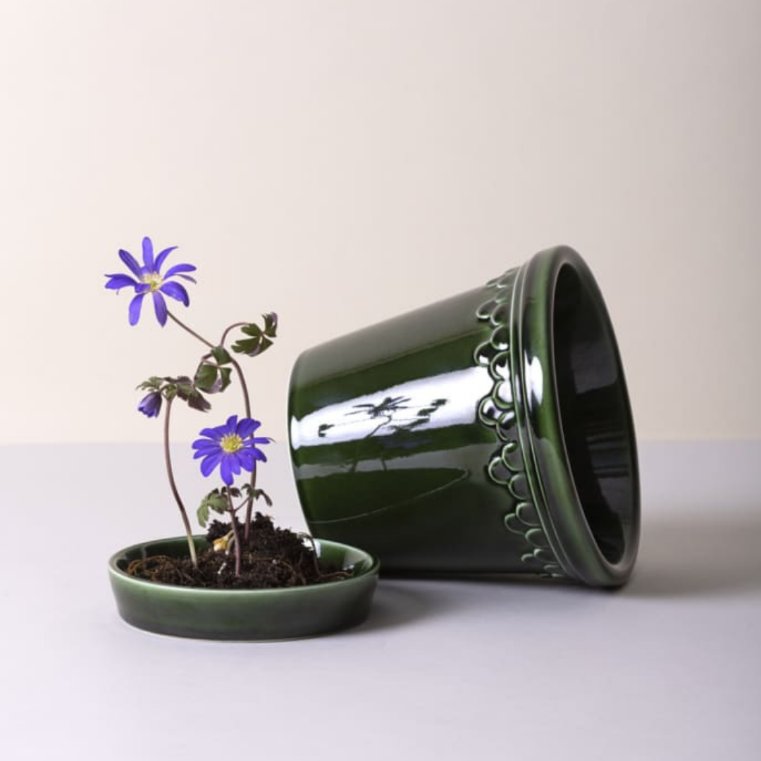 Bergs Potter : 9"x10" Københavner Glazed Pot in Emerald Green