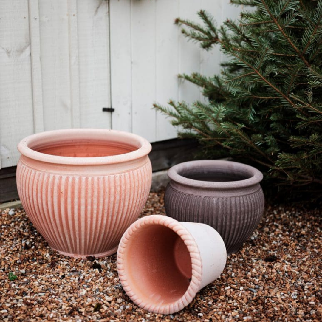 Bergs Potter : 10