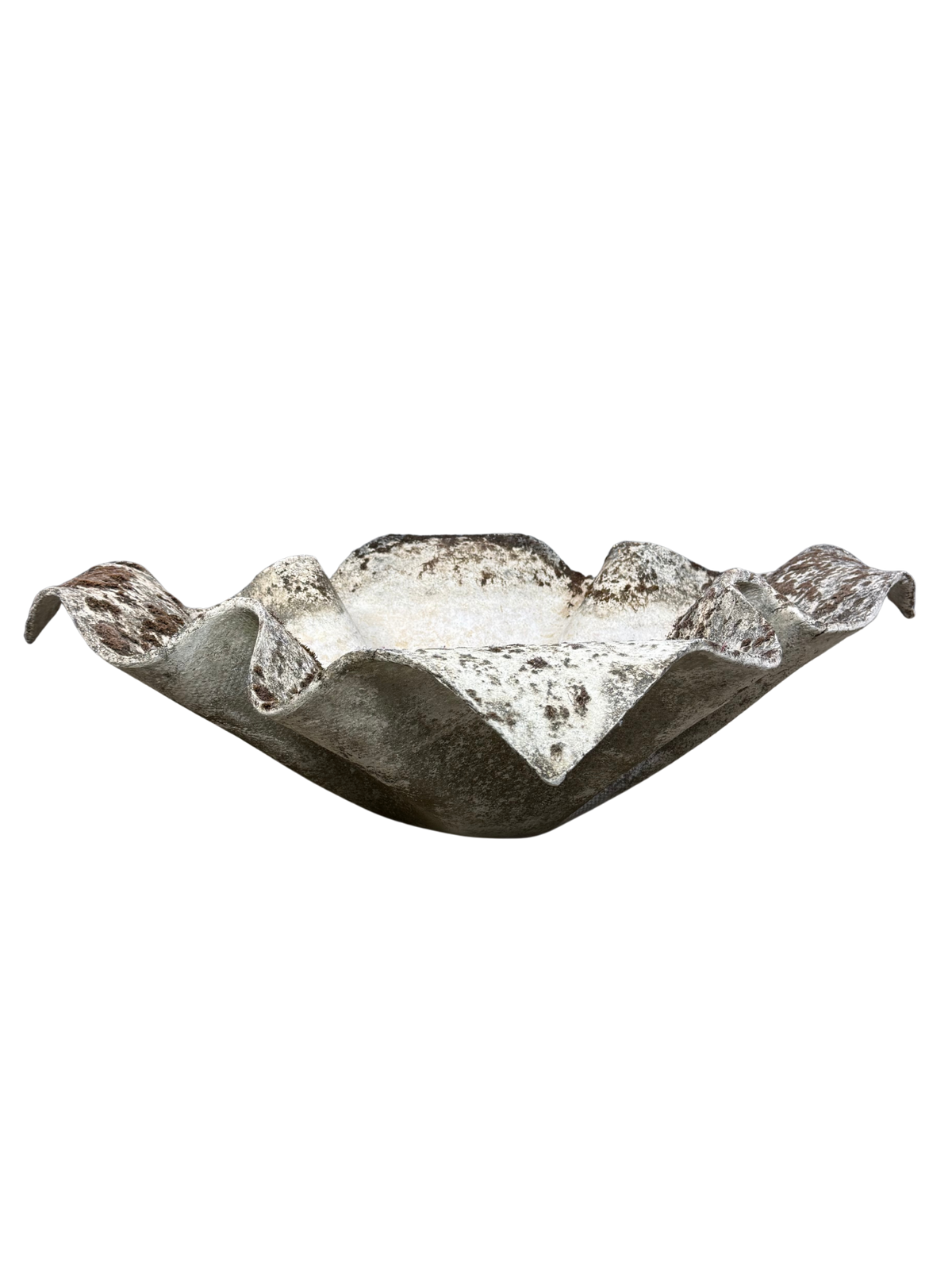 1960s Willy Guhl : large 45" handkerchief concrete planter w/moss