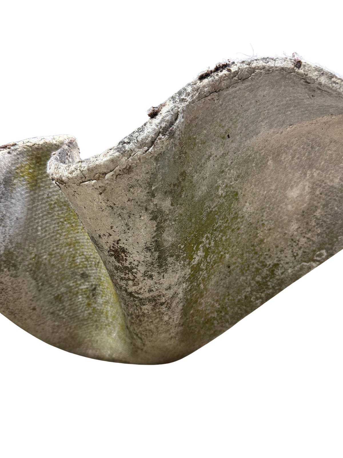1960s Willy Guhl : large 45" handkerchief concrete planter w/moss