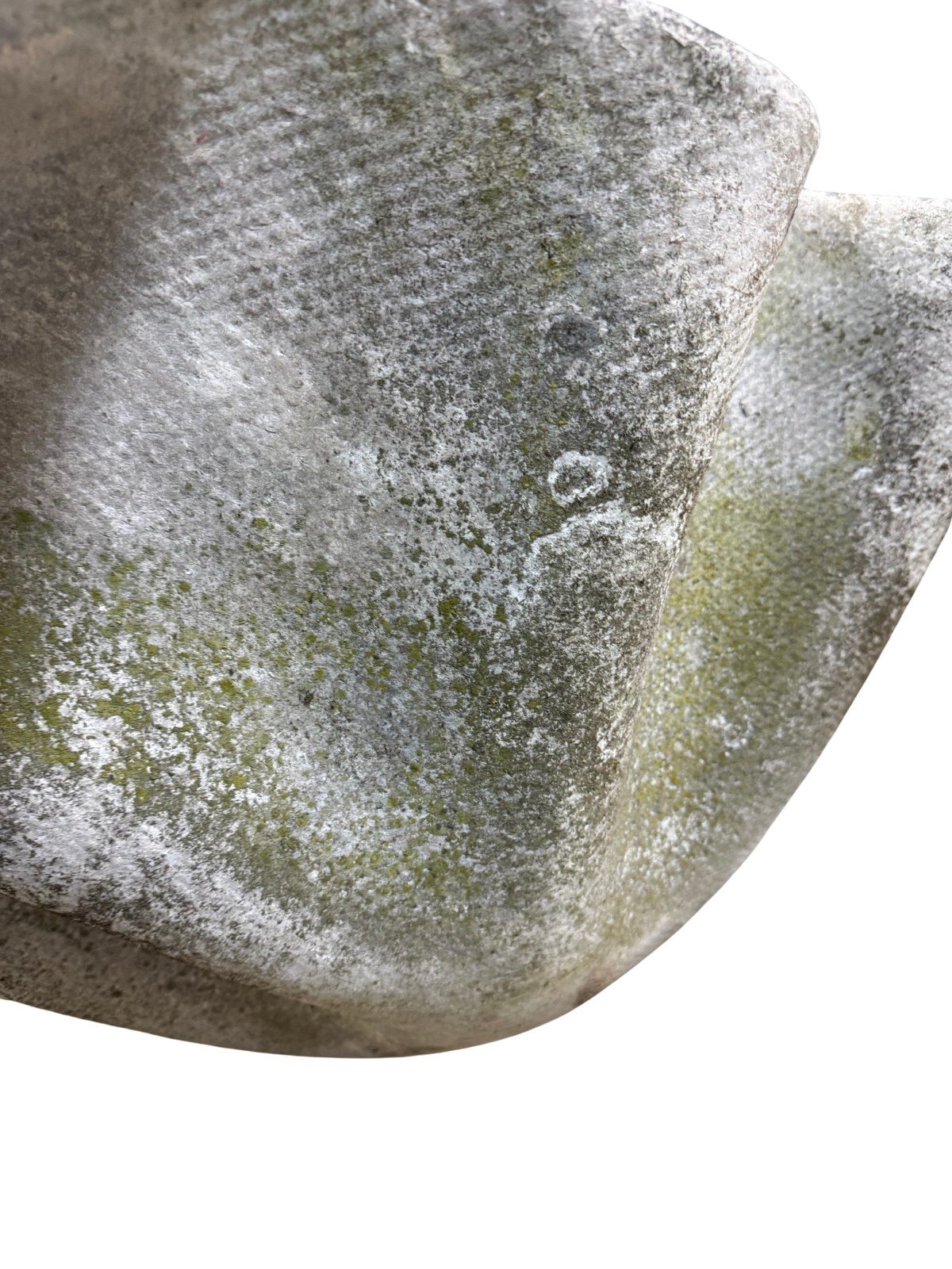 1960s Willy Guhl : large 45" handkerchief concrete planter w/moss
