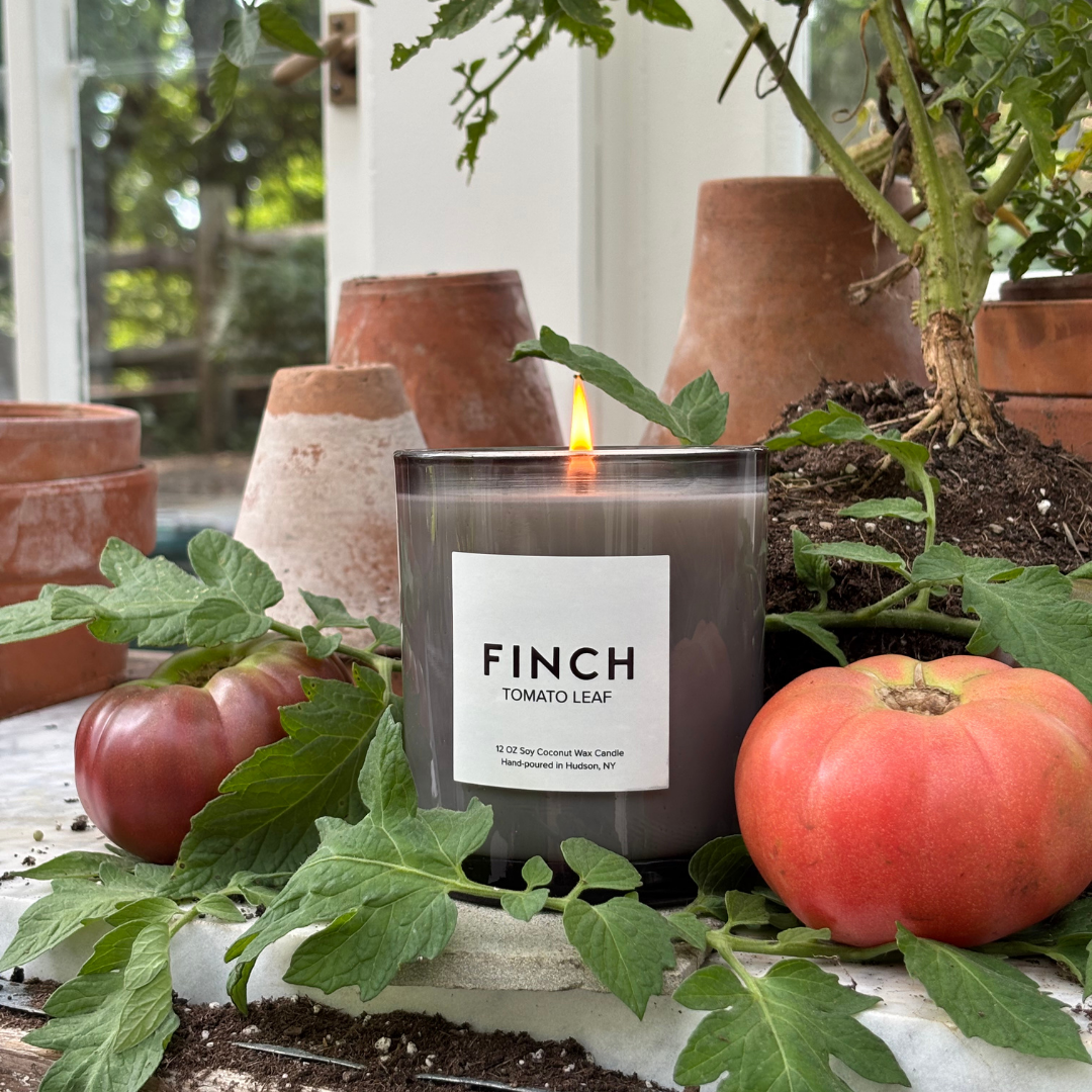 FINCH Original : Tomato Leaf Scented Candle, 12oz Soy