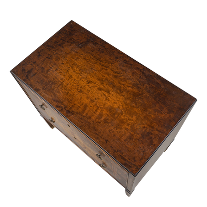 1920s Swedish Grace : exquisite Art Deco rootwood chest with intarsia