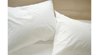 Area : Anton Pillow Cases in White